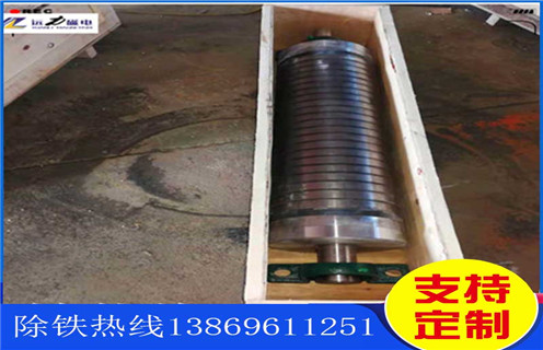 強(qiáng)磁輥式磁選機(jī)，除錳鐵強(qiáng)磁輥磁選機(jī)雙輥_磁選效率_除錳鐵強(qiáng)磁輥磁選機(jī)雙輥報價及結(jié)構(gòu)_遠(yuǎn)力磁電廠家